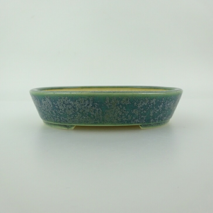盆栽鉢 青香 小型 長辺 約11.9cm 楕円鉢 釉薬 現品 送料無料