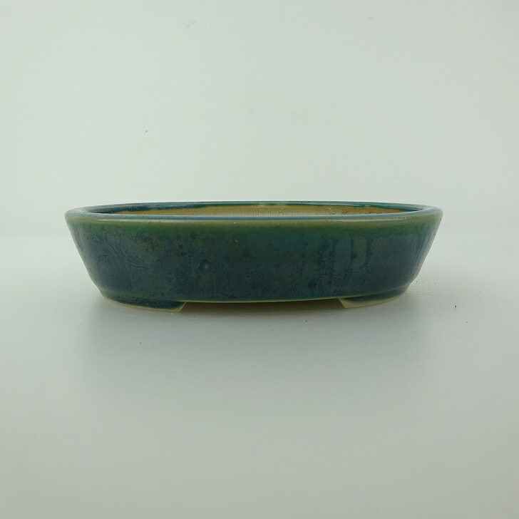 盆栽鉢 青香 小型 長辺 約12cm 楕円鉢 釉薬 現品 送料無料