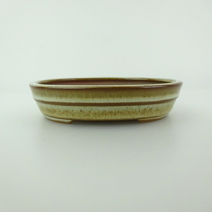 盆栽鉢 青香 小型 長辺 約11.9cm 楕円鉢 中帯 釉薬 現品 送料無料 6,688円