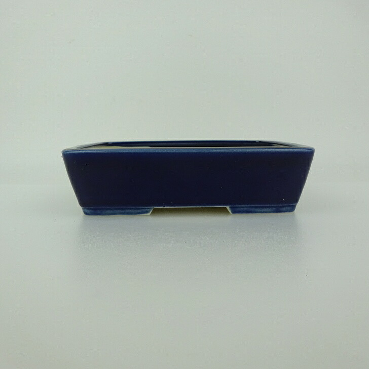 盆栽鉢 青香 小型 長辺 約14.6cm 長方鉢 釉薬 新品 数量物 送料無料