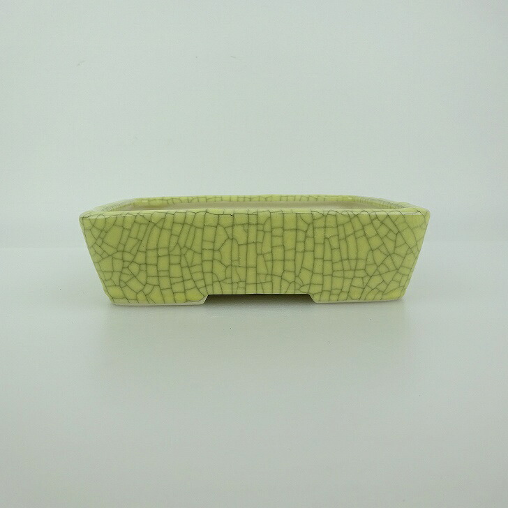 盆栽鉢 青香 小型 長辺 約14.8cm 長方鉢 貫入 釉薬 新品 数量物 送料無料 8,470円