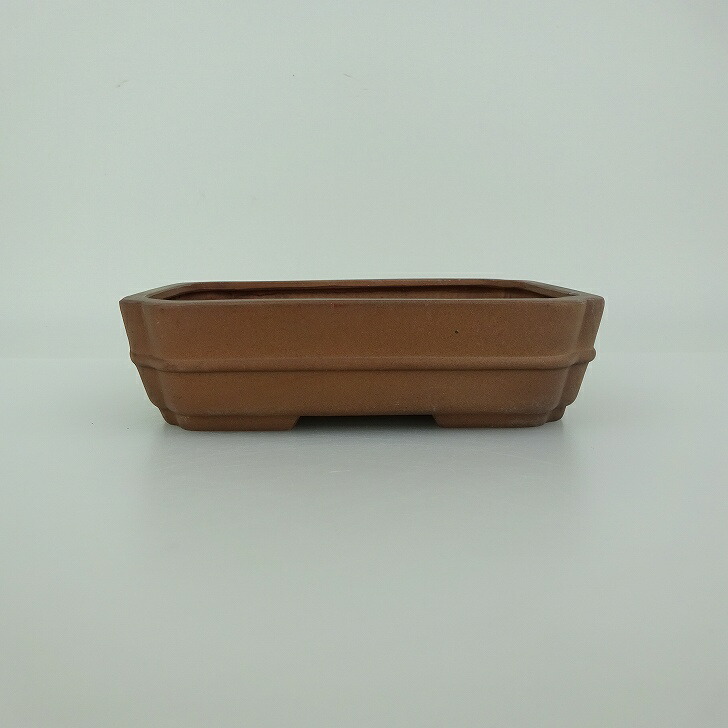 盆栽鉢 青香 小型 長辺 約14.8糎 長方鉢 中帯 隅入 泥物 新品 量目物 貨物輸送無料