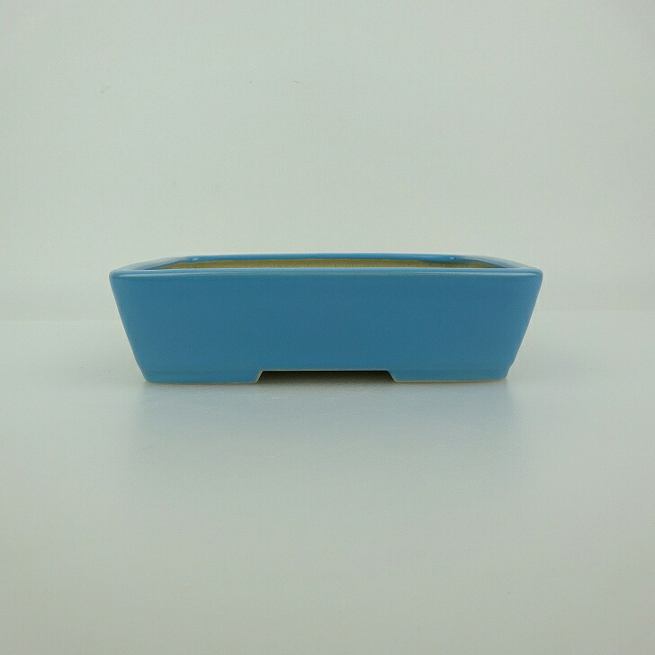 盆栽鉢 青香 小型 長辺 約14.5糎 長方鉢 釉薬 新品 量目物 貨物輸送無料
