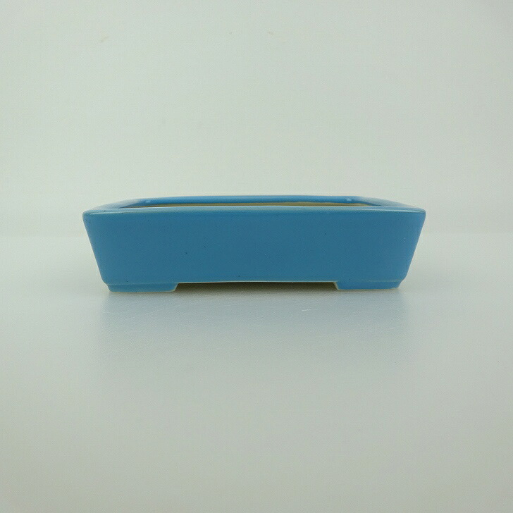 盆栽鉢 青香 小型 長辺 約12cm 長方鉢 釉薬 新品 数量物 送料無料