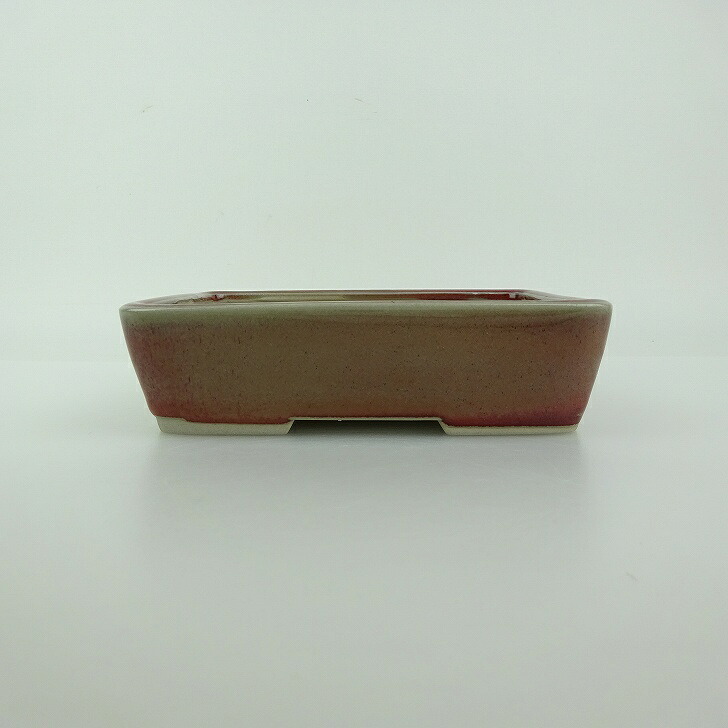 盆栽鉢 青香 小型 長辺 約14.3糎 長方鉢 釉薬 新品 量目物 貨物輸送無料