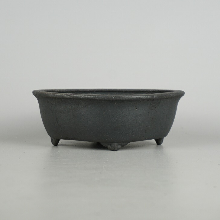 盆栽鉢 常滑 服部造 小型 長辺 約 15.8cm 木瓜鉢 外縁 雲足 現品 新品 送料無料