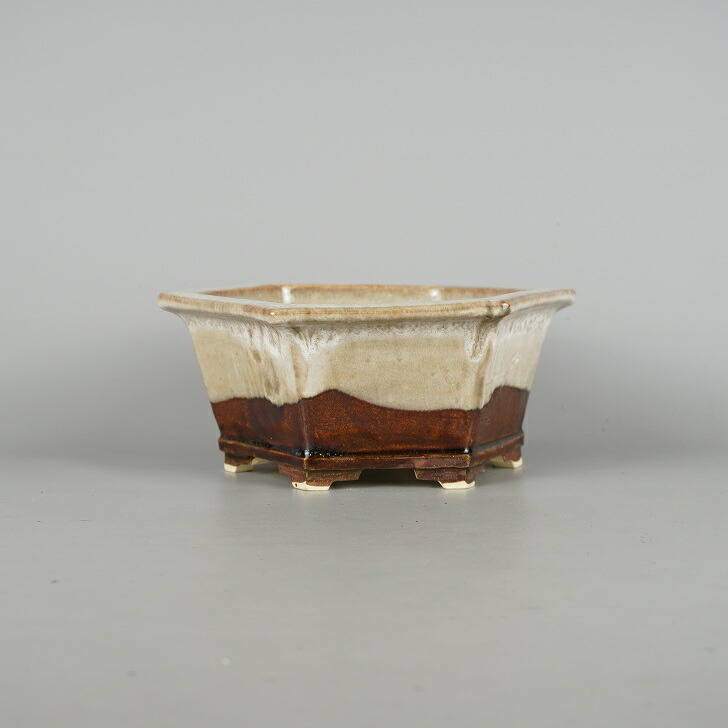 楽天市場】佳山外縁上下帯長方鉢 盆栽鉢 盆器 鉢 植木鉢 bonsaipot