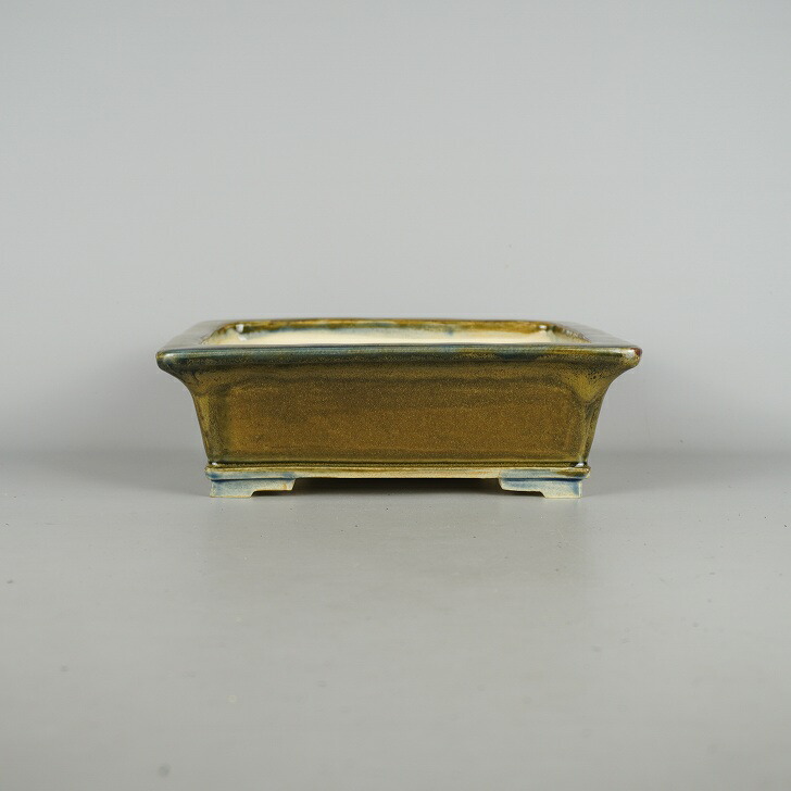 楽天市場】佳山外縁上下帯長方鉢 盆栽鉢 盆器 鉢 植木鉢 bonsaipot