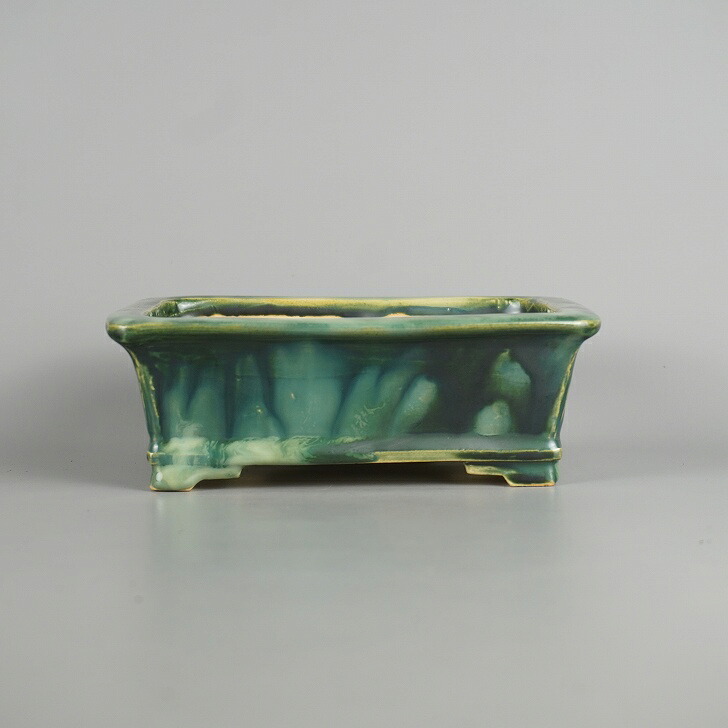 盆栽鉢 福田 桂雲 小型 長辺 約 16.8糎 長方鉢 縁付 下帯 釉薬 和鉢 現品 新品 貨物輸送無料