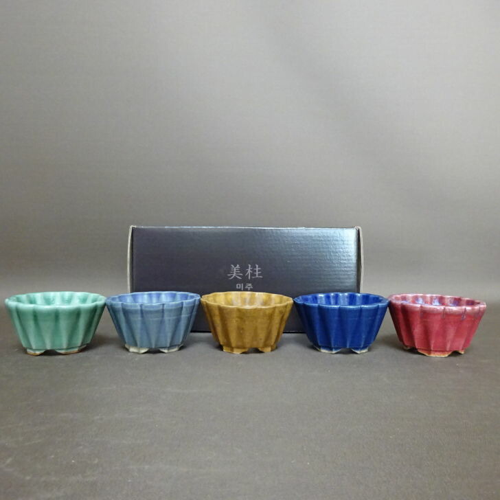 盆栽鉢 美柱 MIJU 5個セット 箱入 豆鉢 長辺 約 8cm 輪花鉢 釉薬 ミニ鉢 鑑賞 観賞用 現品 新品 送料無料