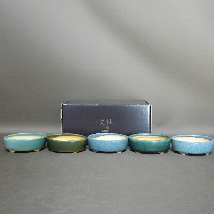 盆栽鉢 美柱 MIJU 5個セット 箱入 豆鉢 長辺 約9.6cm 楕円鉢 釉薬 ミニ鉢 鑑賞 観賞用 現品 新品 送料無料
