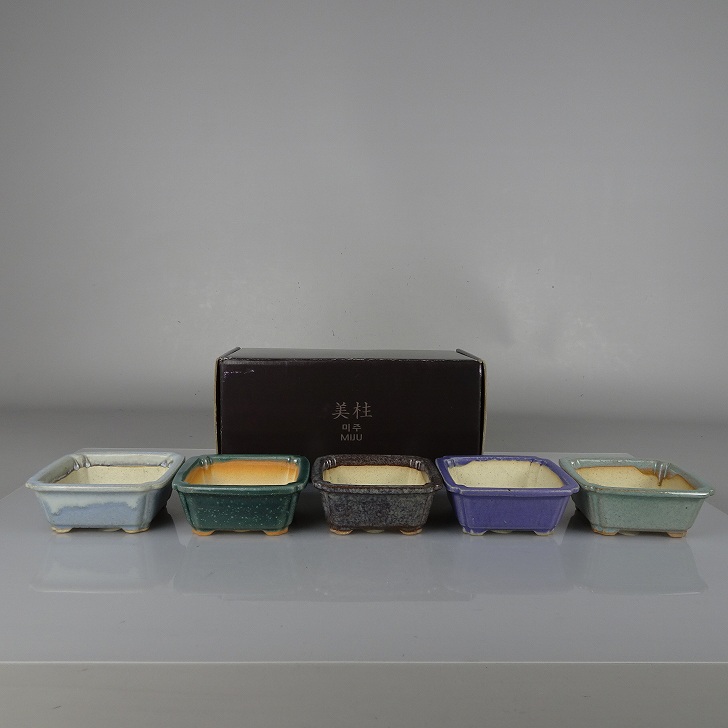 盆栽鉢 美柱 MIJU 5個セット 箱入 豆鉢 長辺 約9.4cm 正方鉢 釉薬 ミニ鉢 鑑賞 観賞用 現品 新品 送料無料
