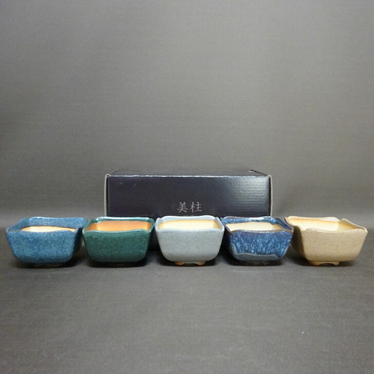 盆栽鉢 美柱 MIJU 5個セット 箱入 豆鉢 長辺 約8.5cm 正方鉢 釉薬 ミニ鉢 鑑賞 観賞用 現品 新品 送料無料