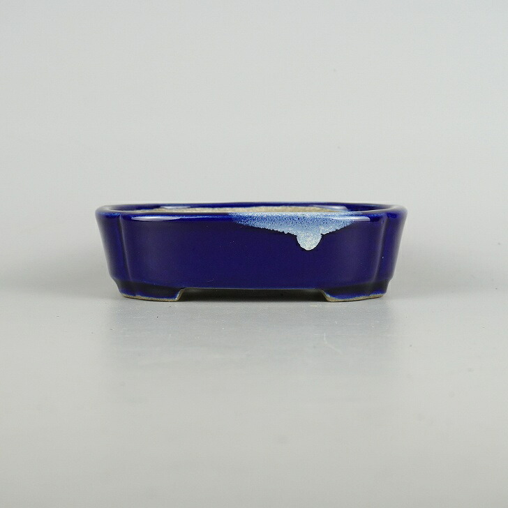 盆栽鉢 里美 寺畑陶園 小型 長辺 約16.3cm 浅 木瓜鉢 瑠璃 釉薬 新品 数量物 送料無料