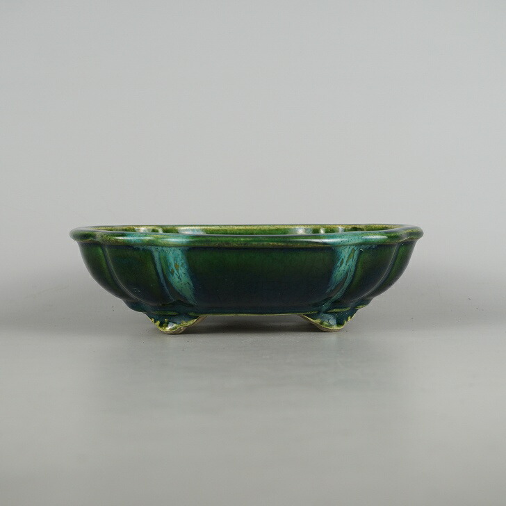 盆栽鉢 真山 寺畑陶園 中型 長辺 約 20.5cm 木瓜鉢 雲足 釉薬 現品 新品 送料無料
