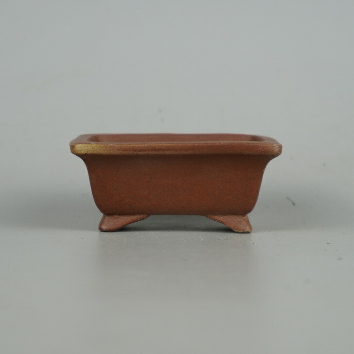 楽天市場】盆栽鉢 常滑 柴勝 小型 長辺 約12.5cm 長方鉢 外縁 段足 泥