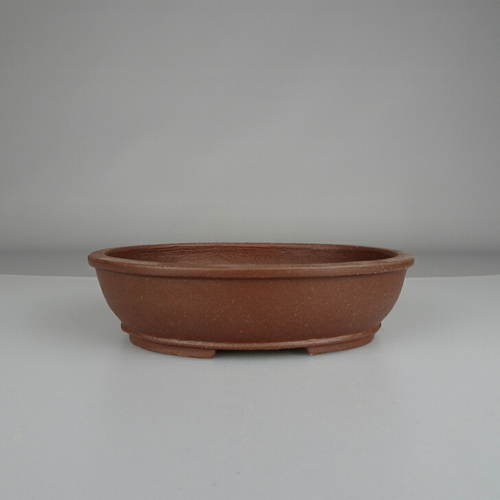 楽天市場】盆栽鉢 常滑 柴勝 小型 長辺 約12.5cm 長方鉢 外縁 段足 泥