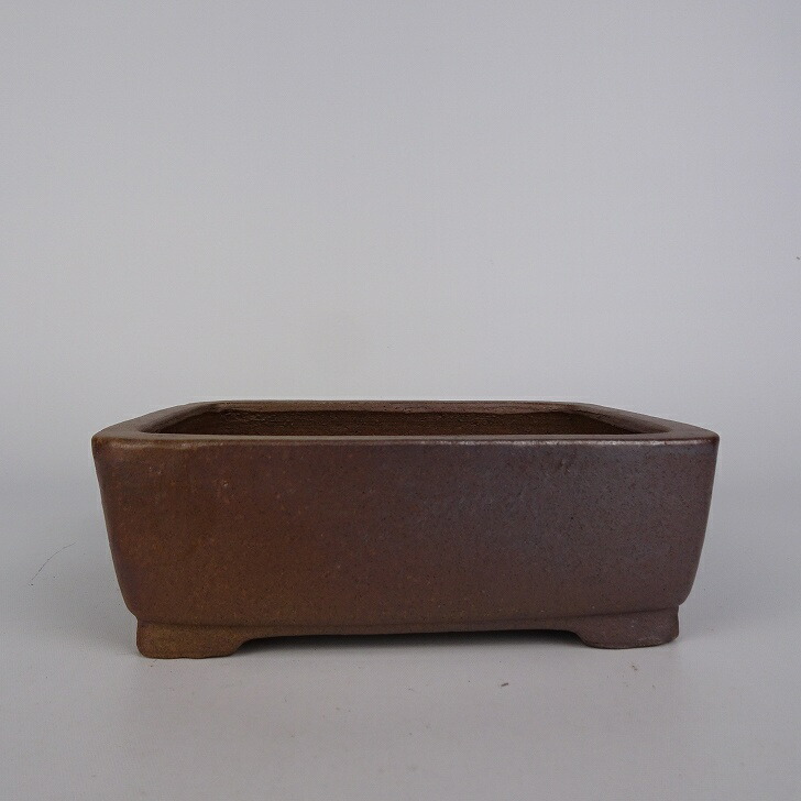 楽天市場】盆栽鉢 常滑 柴勝 小型 長辺 約12.5cm 長方鉢 外縁 段足 泥