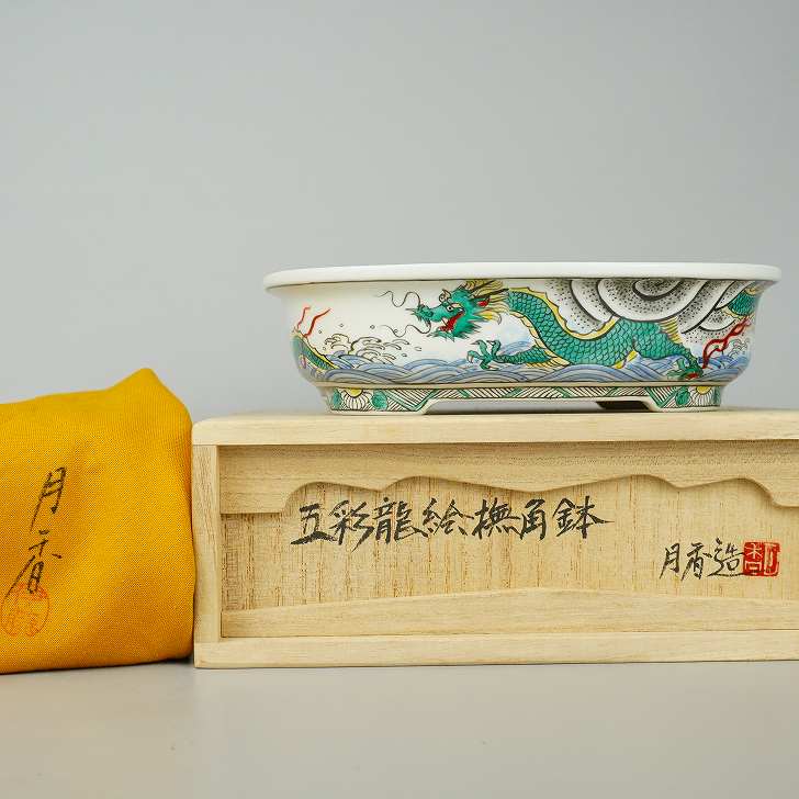 盆栽鉢 月香 (共布・共箱) 五彩 龍絵 撫角 長方鉢 褒めたたえる用  現品 新品 貨物輸送無料 鉢 鉢 余暇活動 一般受け商いもの 癒し 差し上げ物 贈りもの 祝い事
