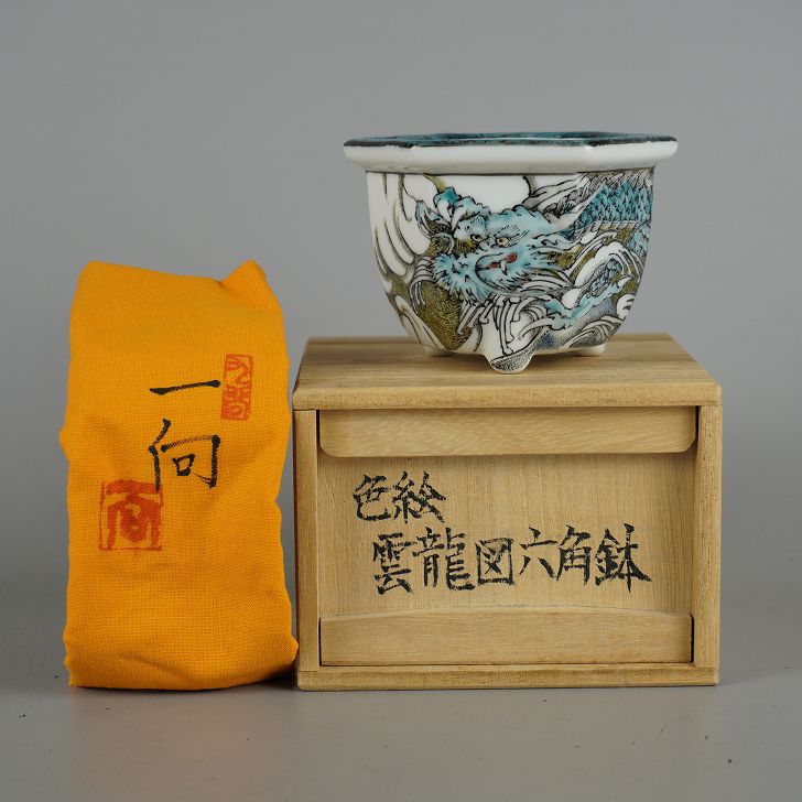 盆栽鉢 九谷 一向 小鉢 長辺 約9.3珊 六角鉢 彩画 雲龍図 共箱 共布 褒めたたえる用 現品 新品