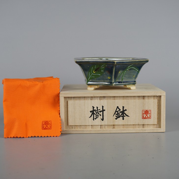 盆栽鉢 高山画 桂雲 上半身 小型 長辺 約14.4糎 六角鉢 彩画 蛍 ほたる 蛍 共箱 共布 褒めたたえる用 現品 新品