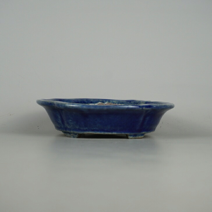 盆栽鉢 常滑 秀峰 小型 長辺 約 15.5cm 木瓜鉢 釉薬 現品 新品 送料無料