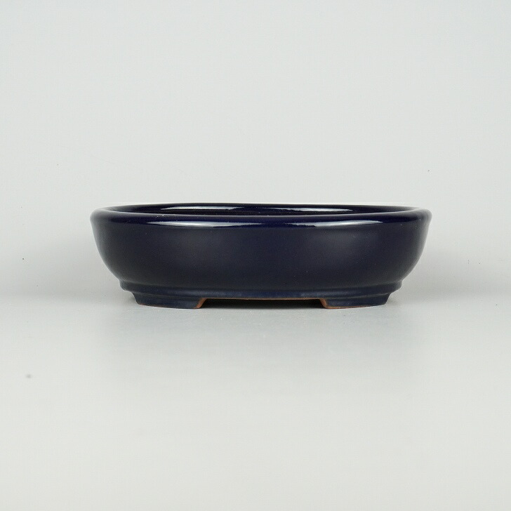 楽天市場】盆栽鉢 常滑 山房造 小型 長辺 約19cm 楕円鉢 ワン型 上下帯