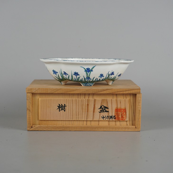 盆栽鉢 ゆうき祥石 小型 長辺 約14.2cm 木瓜鉢 外縁 色絵 花 はな ハナ 植物 共箱 観賞用 現品 新品