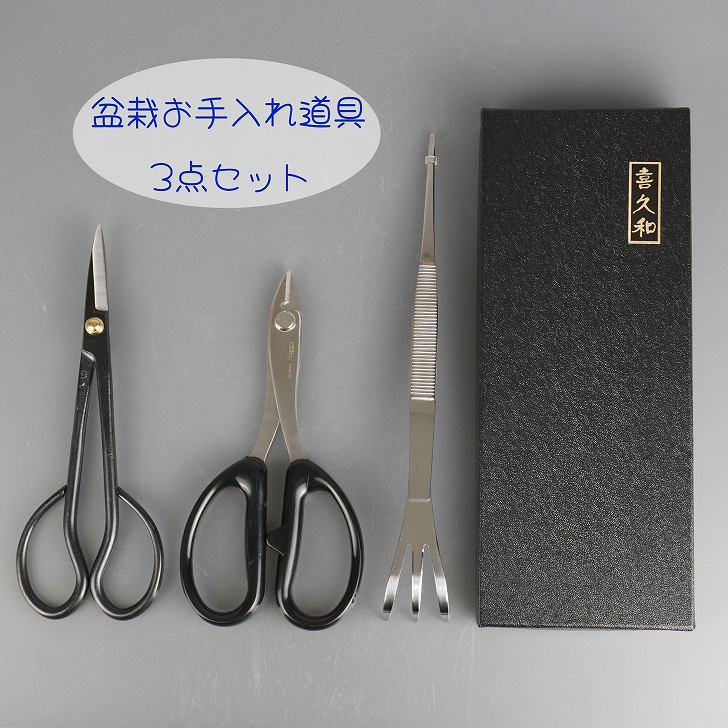 盆栽鋏5点セット (盆栽鋏・さつき鋏・針金切・やっとこ・ピンセット)ステンレス製 盆栽道具 さつき鋏 兼進作 大 全長180mm No.35A : 岐阜関刃物工房V