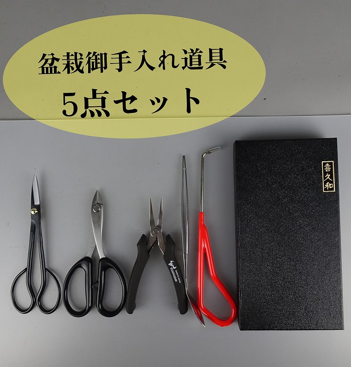 盆栽道具セット 剪定ばさみ 収納ケース付き 楽天市場】【レビュー特典あり】ミニ盆栽お手入れセット 一重刺し子