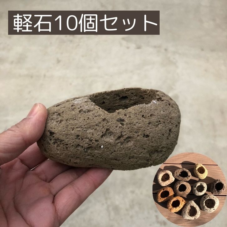 楽天市場】盆栽鉢 ゆうき祥石 2点セット 豆鉢 長辺 約4cm 正方鉢 輪花