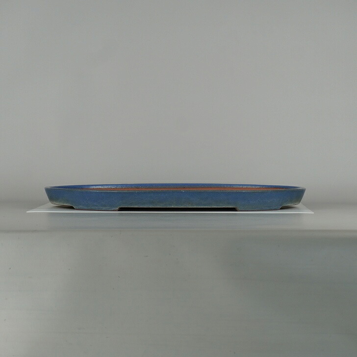【中古】盆栽鉢 常滑 黎鳳 大型 長辺 約 48.5糎 楕円面鉢 釉薬 和鉢 現品 中古鉢 貨物輸送無料