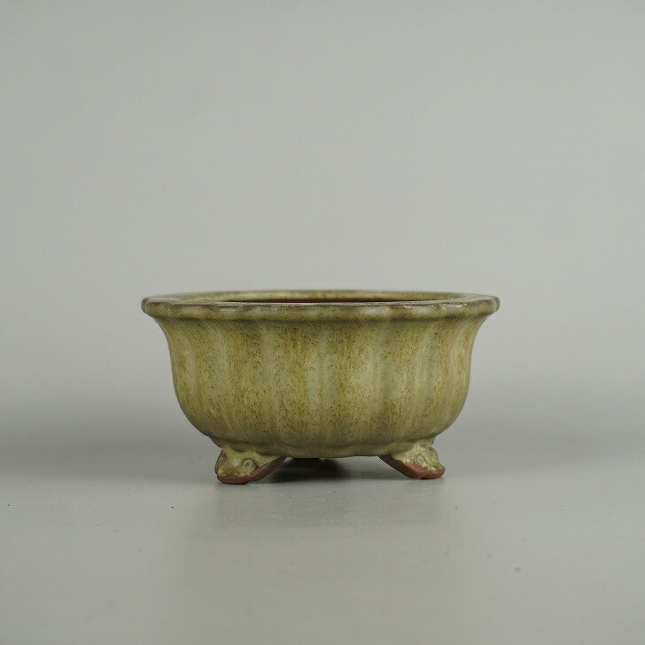 【中古】盆栽鉢 常滑 美芸 小型 長辺 約 12.5cm 輪花鉢 縁付 雲足 釉薬 和鉢 現品 中古鉢 送料無料
