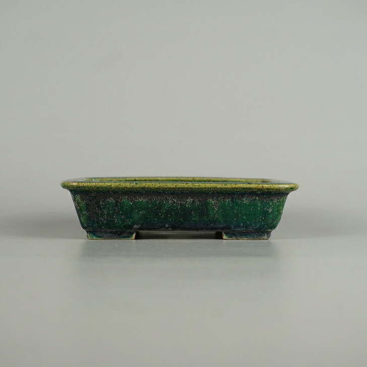 【中古】盆栽鉢 常滑 鴻陽造 小型 長辺 約 15cm 長方鉢 縁付 釉薬 和鉢 現品 中古鉢