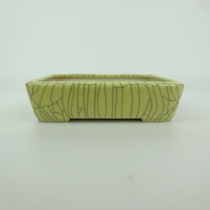 【中古】 盆栽鉢 青香 小型 長辺 約 12.3cm 長方鉢 貫入 釉薬 現品 中古鉢 送料無料