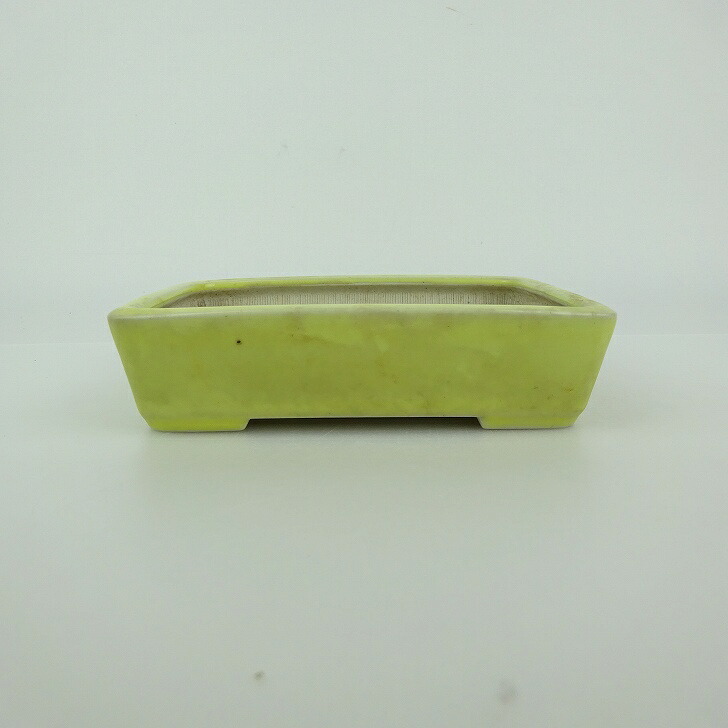 【中古】 盆栽鉢 青香 小型 長辺 約 12cm 長方鉢 釉薬 現品 中古鉢 送料無料 6,263円