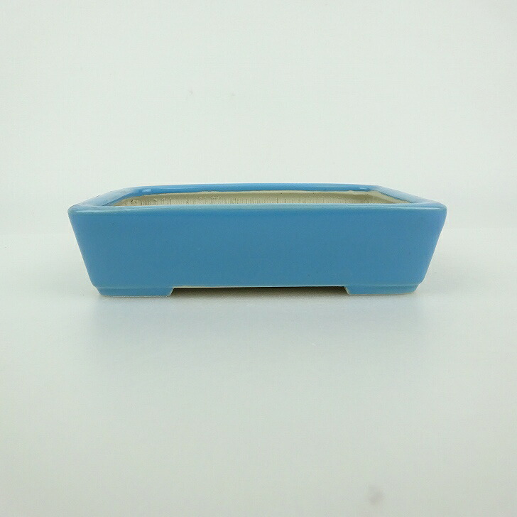 【中古】 盆栽鉢 青香 小型 長辺 約 12cm 長方鉢 釉薬 現品 中古鉢 送料無料