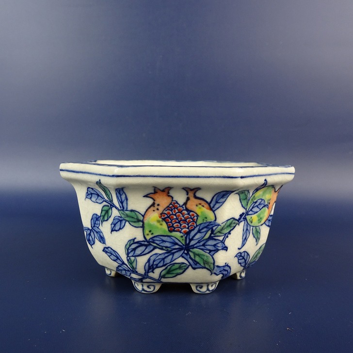 【中古】盆栽鉢 祝峯 小型 長辺 約 10cm 八角鉢 外縁 色絵 柘榴 ざくろ ザクロ 植物 絵鉢 観賞用 現品 中古鉢｜盆栽はニわ 店