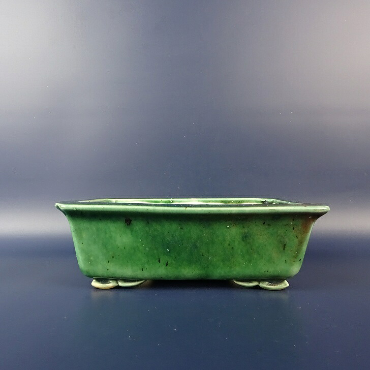 【中古】盆栽鉢 越前 芳水 小型 長辺 約 16.3cm 長方鉢 外縁 釉薬 現品 中古鉢