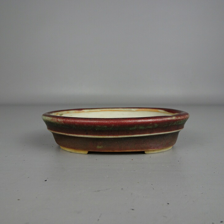 【中古】盆栽鉢 屯洋 高濱窯 小型 長辺 約 11.4糎 楕円面鉢 中帯 釉薬 現品 中古鉢 貨物輸送無料