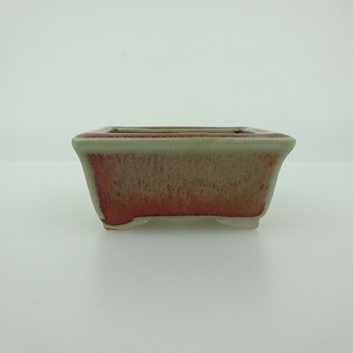 青香　長方　盆栽鉢 楽天市場】【中古】盆栽鉢 青香 小型 長辺 約 11.8cm 長方鉢 釉薬 現品