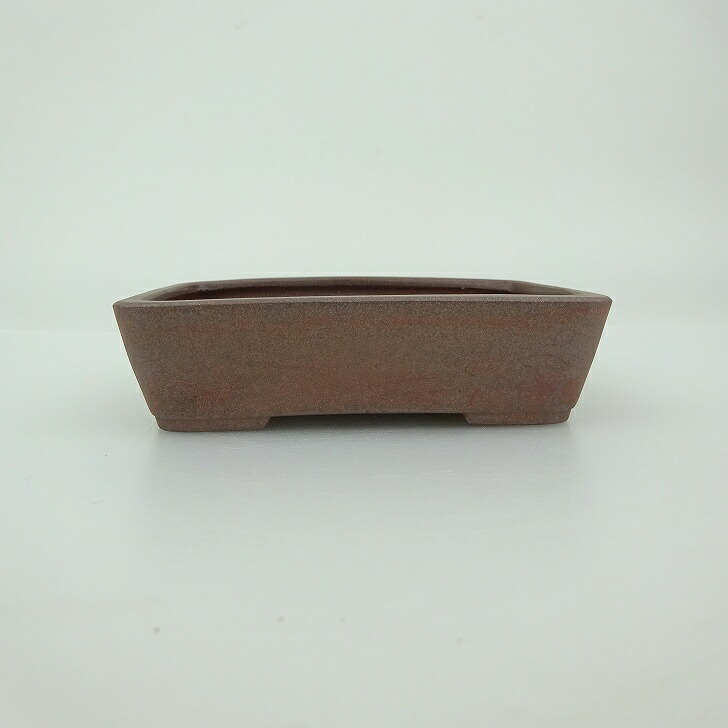 【中古】 盆栽鉢 青香 小鉢 長辺 約 9.1cm 長方鉢 泥物 現品 中古鉢 送料無料