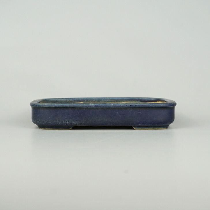 楽天市場】【中古】盆栽鉢 常滑 壱興造記 渡辺 一弘 小型 長辺 約14.2