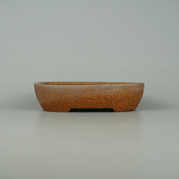 楽天市場】【中古】盆栽鉢 常滑 知 服部 小型 長辺 約 15.5cm 楕円鉢