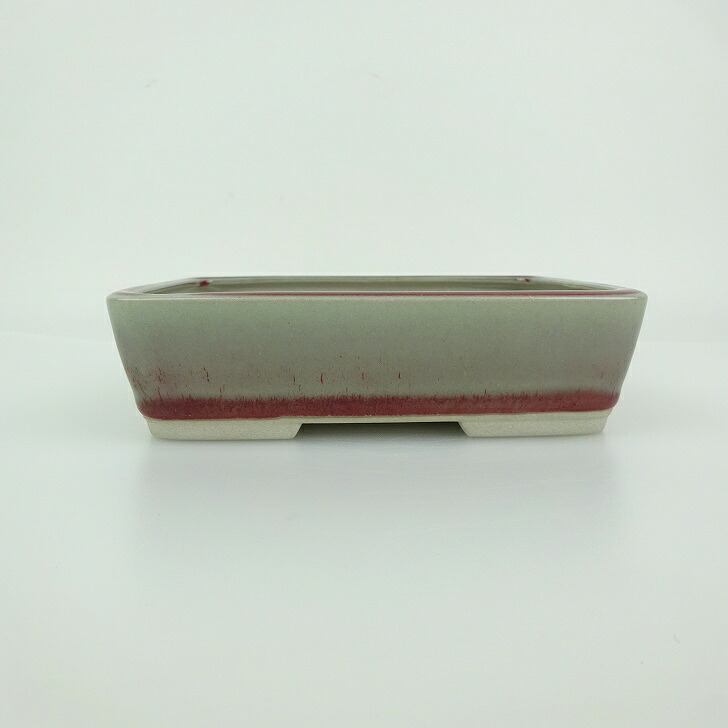 【中古】 盆栽鉢 青香 小型 長辺 約 14.5cm 長方鉢 釉薬 現品 中古鉢 送料無料