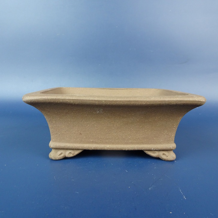 楽天市場】盆栽鉢 銭号外縁雲足長方鉢 植木鉢 常滑 泥鉢 6号 朱泥 小品