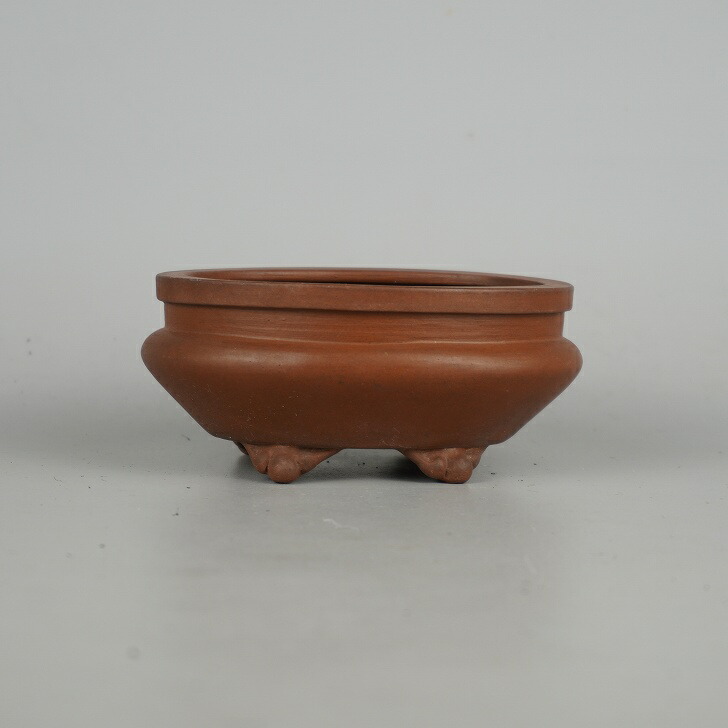 楽天市場】【中古】盆栽鉢 峰輝堂 小型 長辺 約12.5cm 楕円鉢 下帯 泥