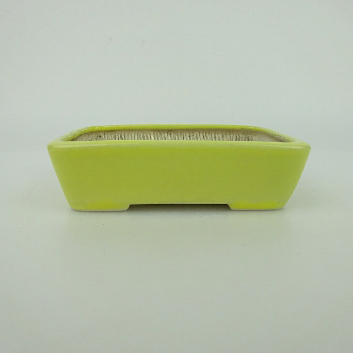 【中古】盆栽鉢 青香 小鉢 長辺 約9.5cm 長方鉢 釉薬 現品 中古鉢 送料無料