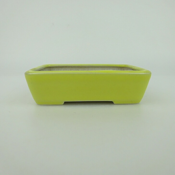 【中古】盆栽鉢 青香 小鉢 長辺 約9.3cm 長方鉢 釉薬 現品 中古鉢 送料無料