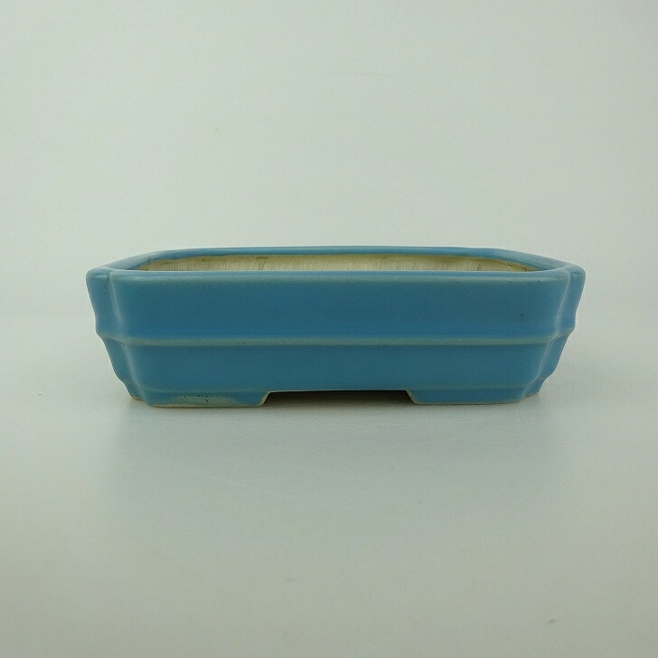 【中古】盆栽鉢 青香 小型 長辺 約 14.6cm 長方鉢 隅入 中帯 釉薬 現品 中古鉢 送料無料｜盆栽はニわ 店